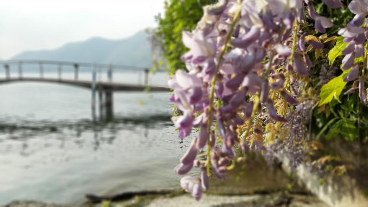 B&B La Veranda - Iseo Exterior photo